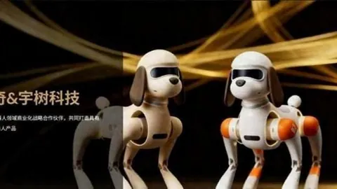避雷指南博鱼体育官网：金价涨势下，如何准确判断5000美元关口的突破